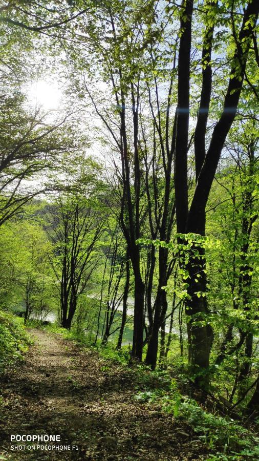 Smaragd River Near Rastoke & Plitvice Lakes 斯诺基 外观 照片